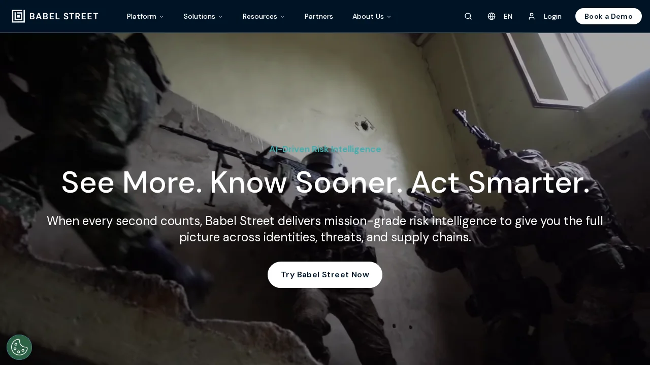 Babelstreet screenshot 1