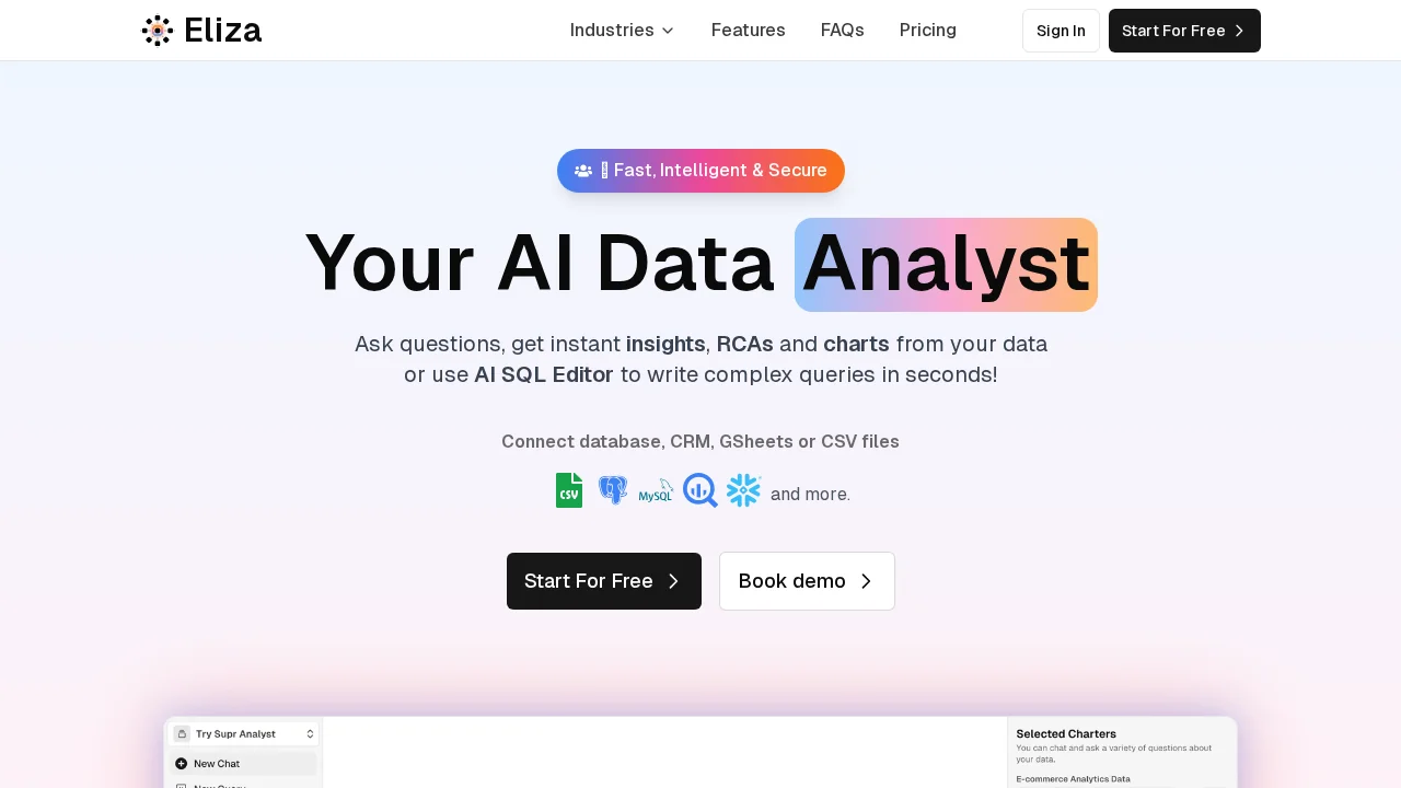 Eliza - Your AI Data Copilot screenshot 1