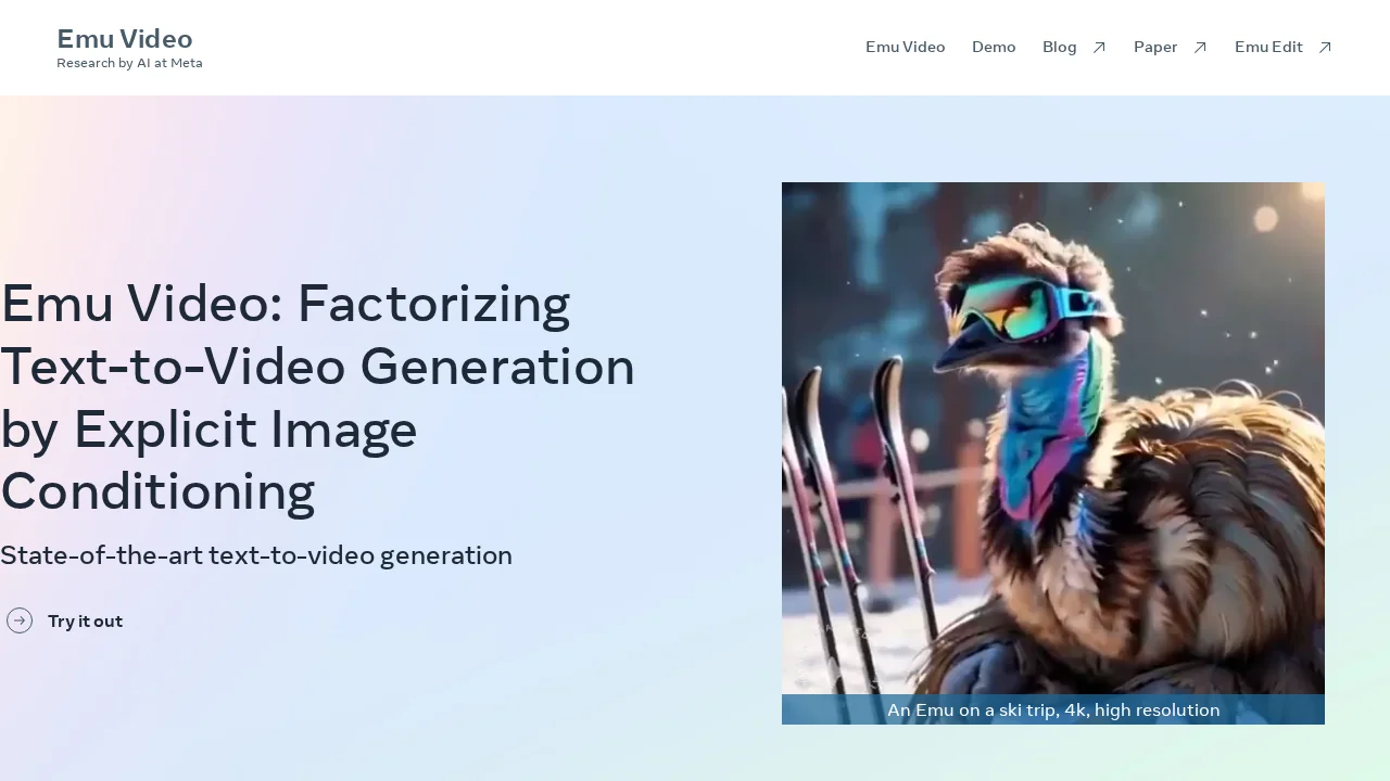 Emu Video screenshot 1