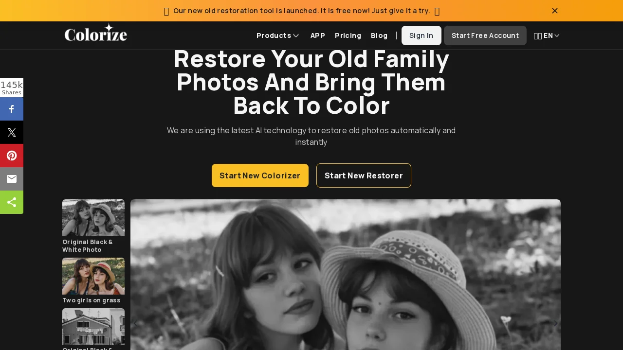 ImageColorizer screenshot 1