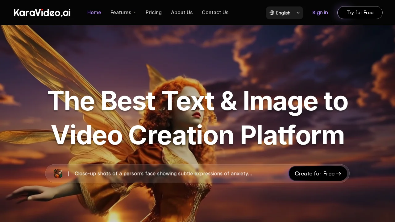 KaraVideo screenshot 1