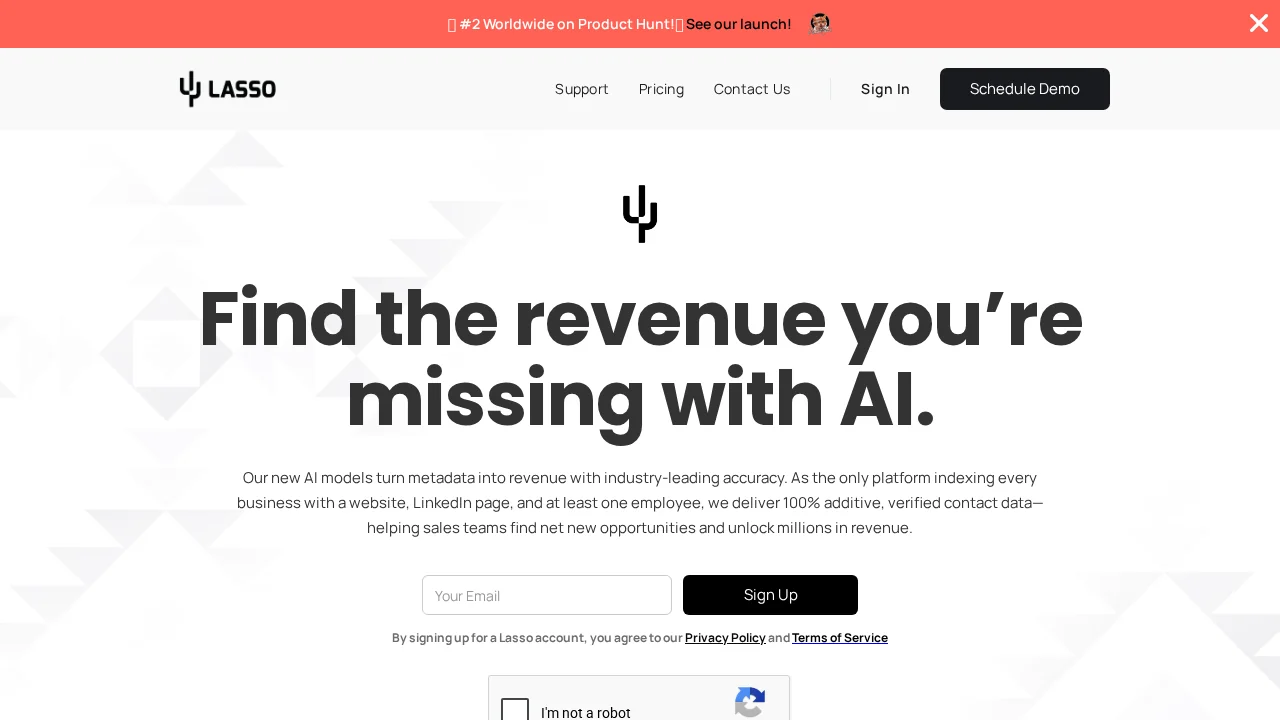 Lasso AI screenshot 1