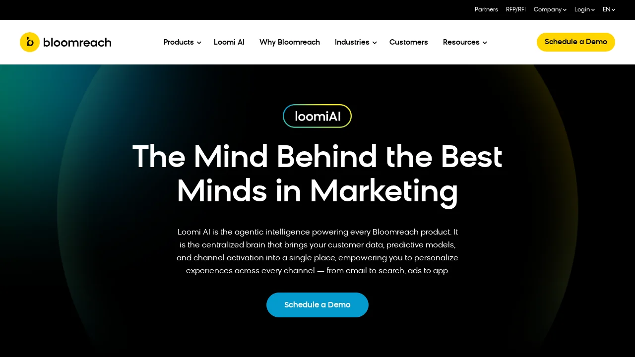 Loomi AI by Bloomreach screenshot 1