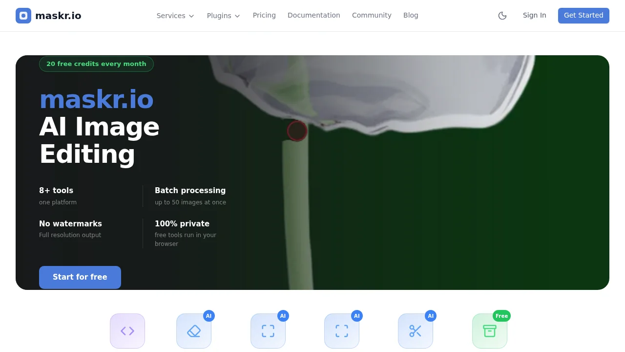Maskr.io screenshot 1