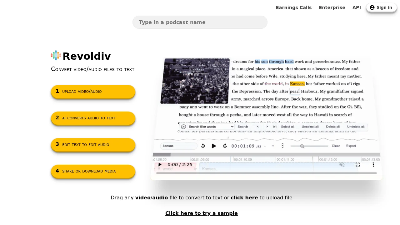 Revoldiv screenshot 1