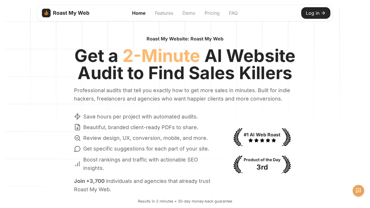 RoastMyWeb screenshot 1