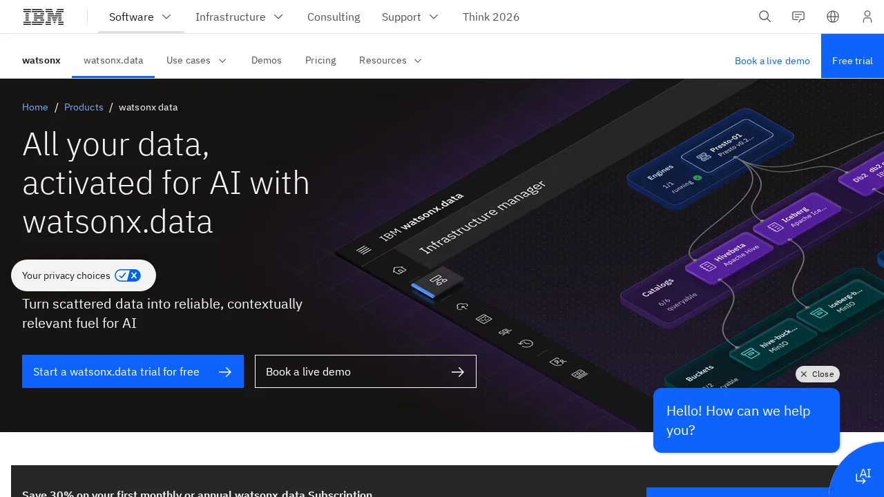 WatsonX.data by IBM screenshot 1